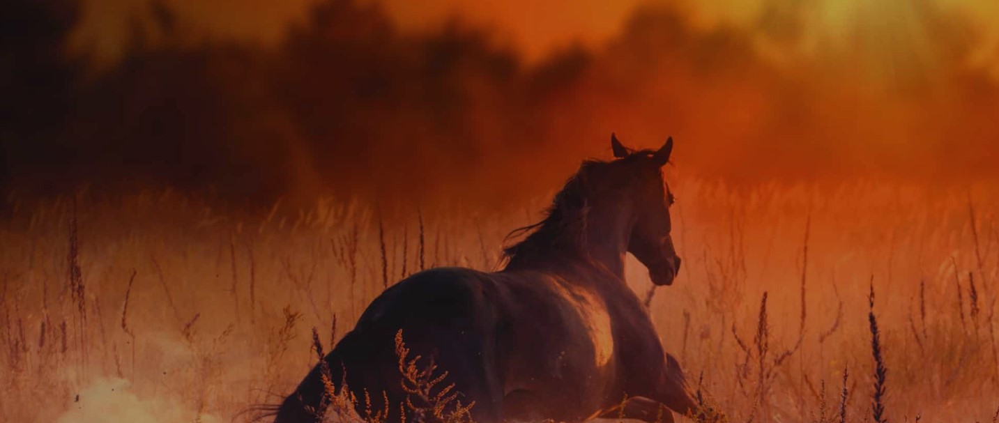 Event: "Pigen fra Vesten" - Puccini i Opera Hedeland